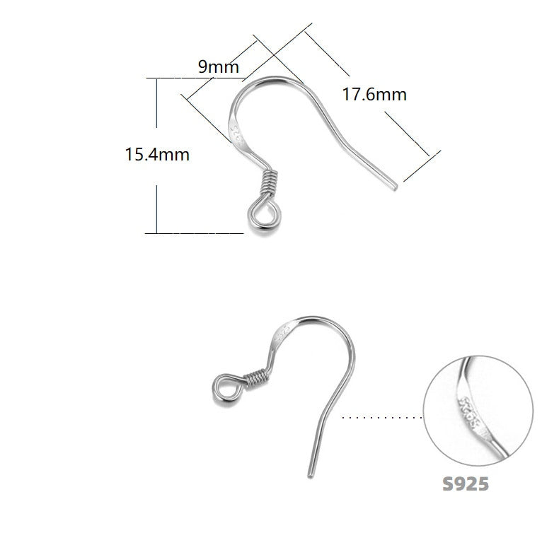 Sterling Silver (S925) Earring Hooks (?)